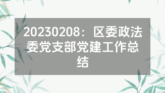 20230208：区委政法委党支部党建工作总结