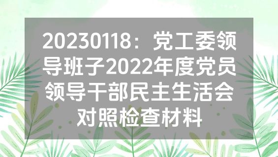 20230118：党工委领导班子2022年度党员领导干部民主生活会对照检查材料