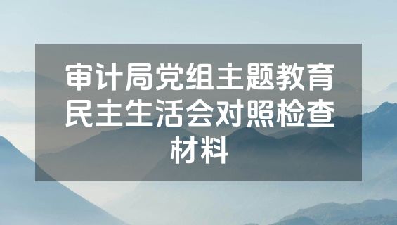 审计局党组主题教育民主生活会对照检查材料