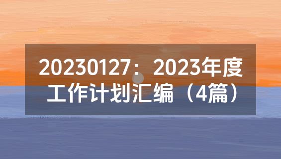 20230127：2023年度工作计划汇编（4篇）