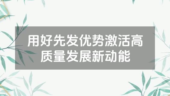 用好先发优势激活高质量发展新动能
