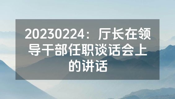 20230224：厅长在领导干部任职谈话会上的讲话
