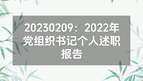 20230209：2022年党组织书记个人述职报告