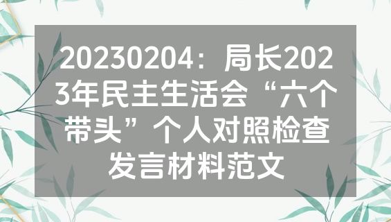 20230204：局长2023年民主生活会“六个带头”个人对照检查发言材料范文