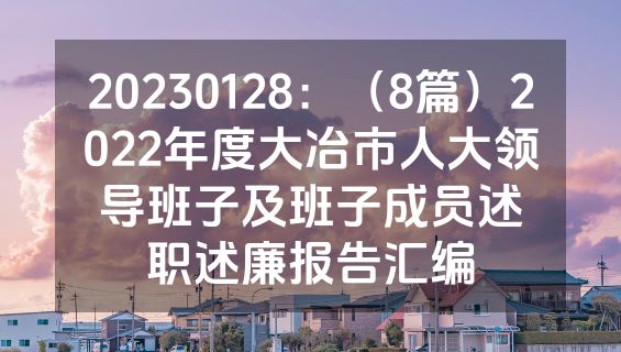 20230128：（8篇）2022年度大冶市人大领导班子及班子成员述职述廉报告汇编