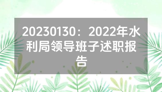 20230130：2022年水利局领导班子述职报告