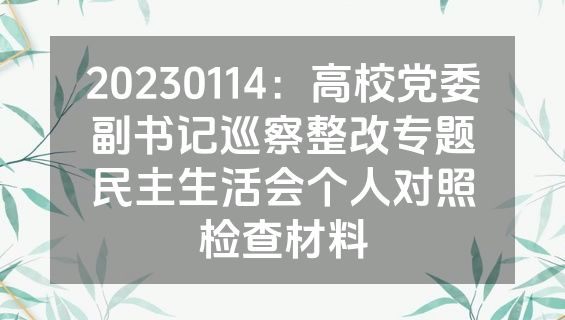 20230114：高校党委副书记巡察整改专题民主生活会个人对照检查材料