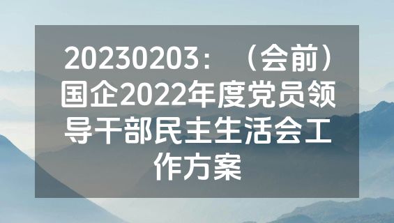 20230203：（会前）国企2022年度党员领导干部民主生活会工作方案
