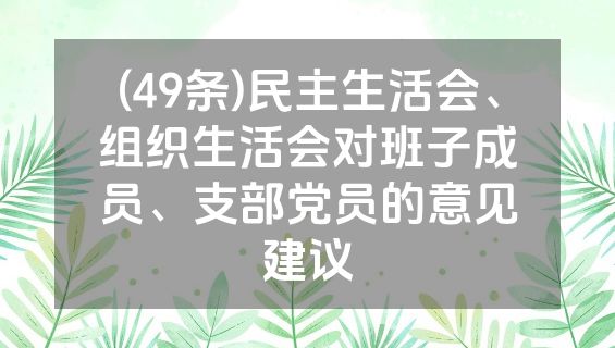 (49条)民主生活会、组织生活会对班子成员、支部党员的意见建议