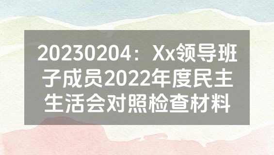 20230204：Xx领导班子成员2022年度民主生活会对照检查材料