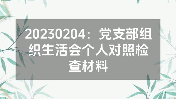 20230204：党支部组织生活会个人对照检查材料