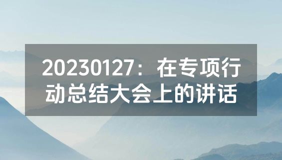 20230127：在专项行动总结大会上的讲话