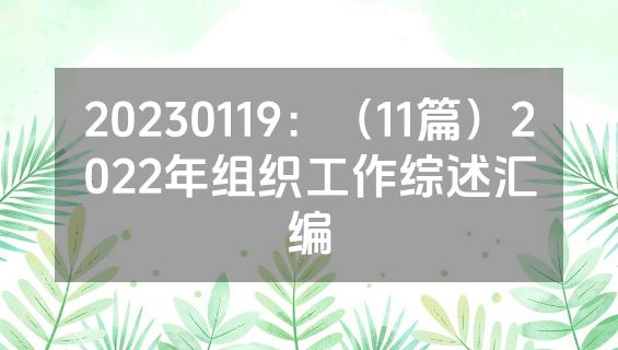 20230119：（11篇）2022年组织工作综述汇编