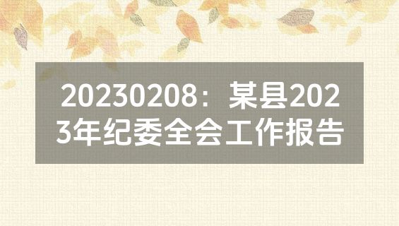 20230208：某县2023年纪委全会工作报告