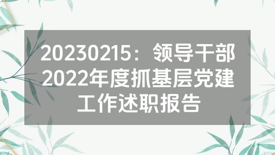 20230215：领导干部2022年度抓基层党建工作述职报告