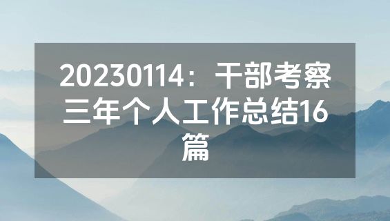 20230114：干部考察三年个人工作总结16篇