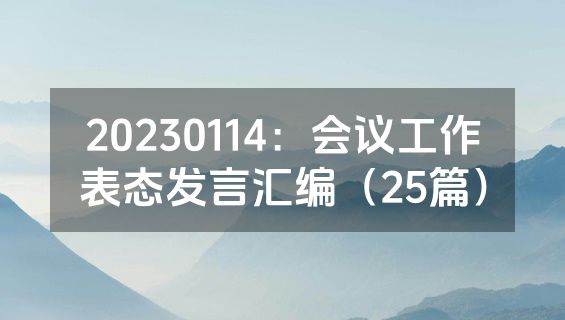 20230114：会议工作表态发言汇编（25篇）