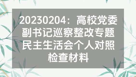 20230204：高校党委副书记巡察整改专题民主生活会个人对照检查材料