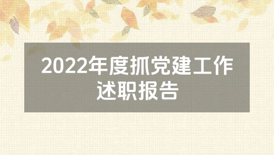 2022年度抓党建工作述职报告