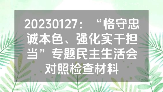 20230127：“恪守忠诚本色、强化实干担当”专题民主生活会对照检查材料