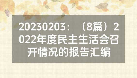 20230203：（8篇）2022年度民主生活会召开情况的报告汇编