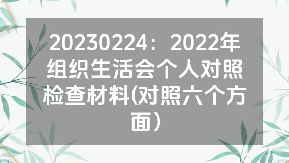 20230224：2022年组织生活会个人对照检查材料(对照六个方面）