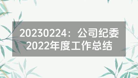 20230224：公司纪委2022年度工作总结