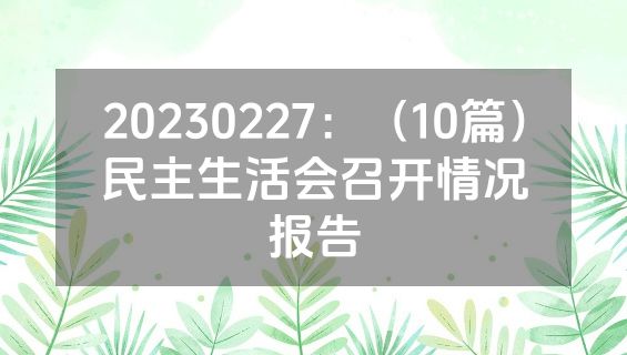 20230227：（10篇）民主生活会召开情况报告