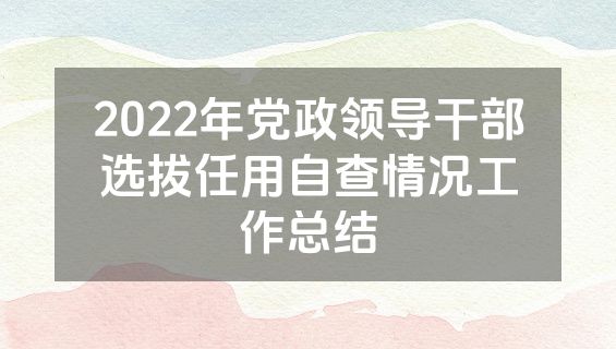 2022年党政领导干部选拔任用自查情况工作总结