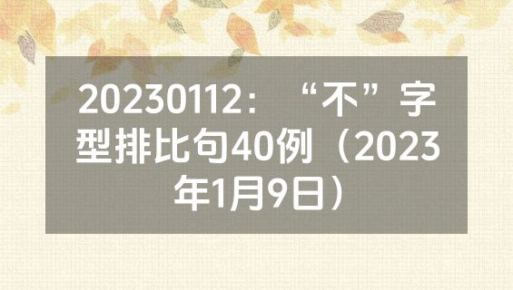 20230112：“不”字型排比句40例（2023年1月9日）