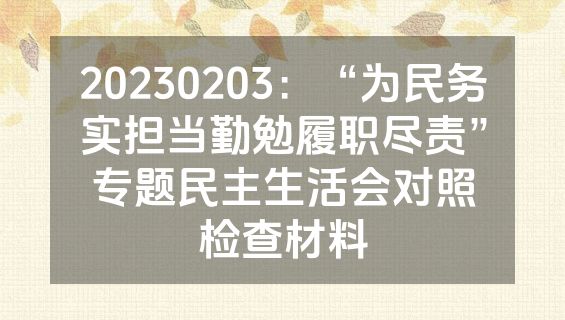 20230203：“为民务实担当勤勉履职尽责”专题民主生活会对照检查材料