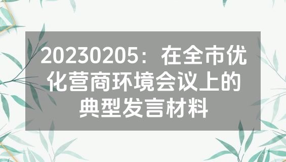 20230205：在全市优化营商环境会议上的典型发言材料