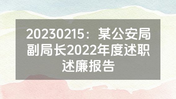 20230215：某公安局副局长2022年度述职述廉报告