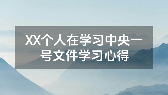 XX个人在学习中央一号文件学习心得