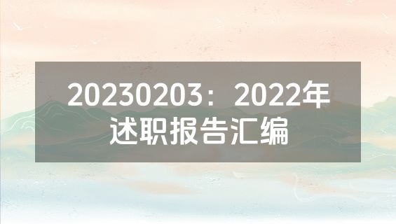 20230203：2022年述职报告汇编