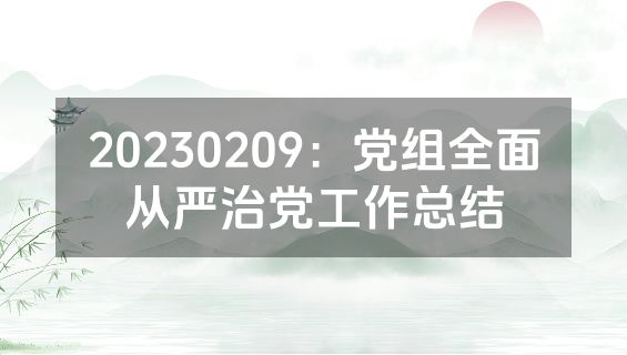 20230209：党组全面从严治党工作总结