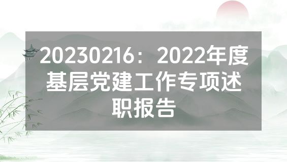 20230216：2022年度基层党建工作专项述职报告