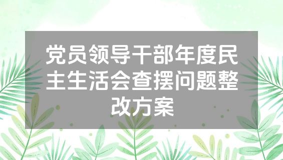 党员领导干部年度民主生活会查摆问题整改方案