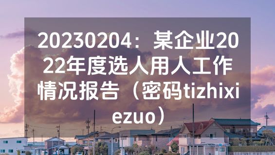 20230204：某企业2022年度选人用人工作情况报告（密码tizhixiezuo）