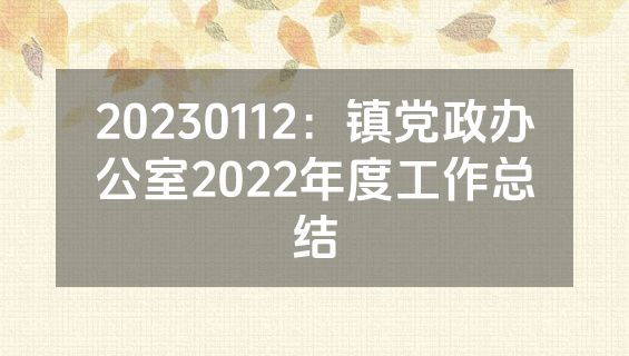 20230112：镇党政办公室2022年度工作总结