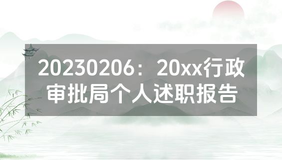 20230206：20xx行政审批局个人述职报告