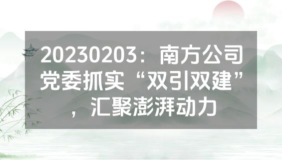 20230203：南方公司党委抓实“双引双建”，汇聚澎湃动力