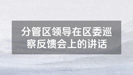分管区领导在区委巡察反馈会上的讲话