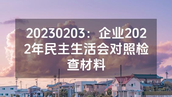 20230203：企业2022年民主生活会对照检查材料