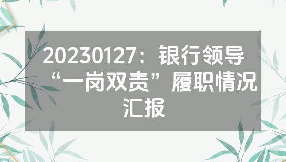 20230127：银行领导“一岗双责”履职情况汇报