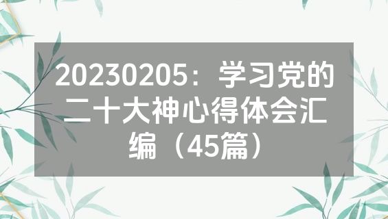20230205：学习党的二十大神心得体会汇编（45篇）