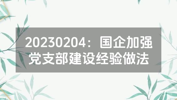 20230204：国企加强党支部建设经验做法