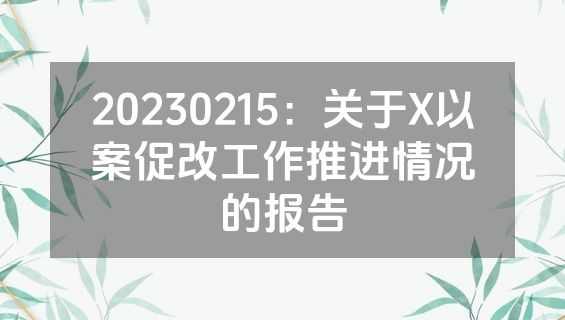 20230215：关于X以案促改工作推进情况的报告