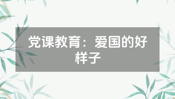党课教育：爱国的好样子