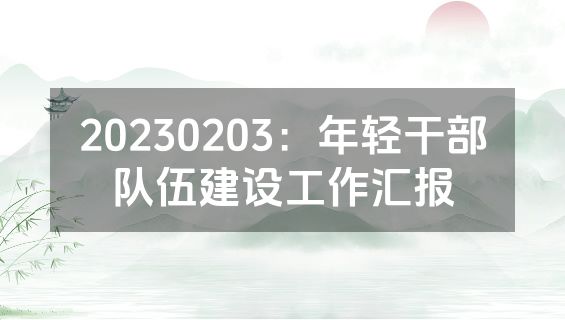 20230203：年轻干部队伍建设工作汇报